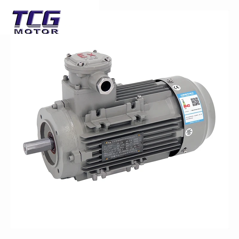 Ex d IIC T4 explosieveilige motor B14 kleine flens