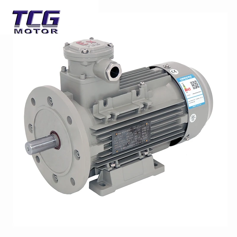 Ex d IIC T4 explosieveilige motor B35 voet