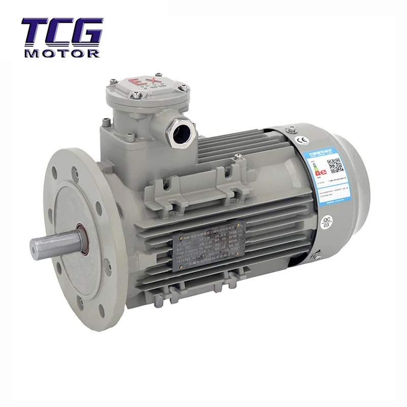 Ex d IIC T4 explosieveilige motor B5 flensgemonteerd